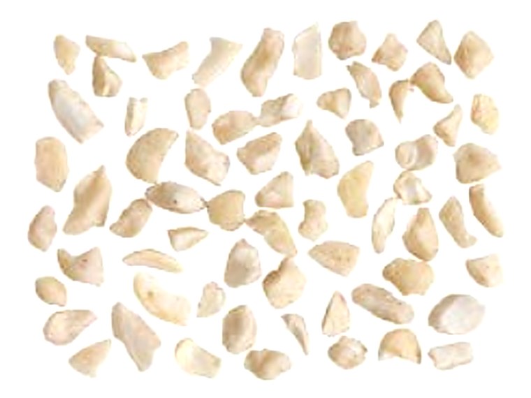 Small white cashew pieces SWP