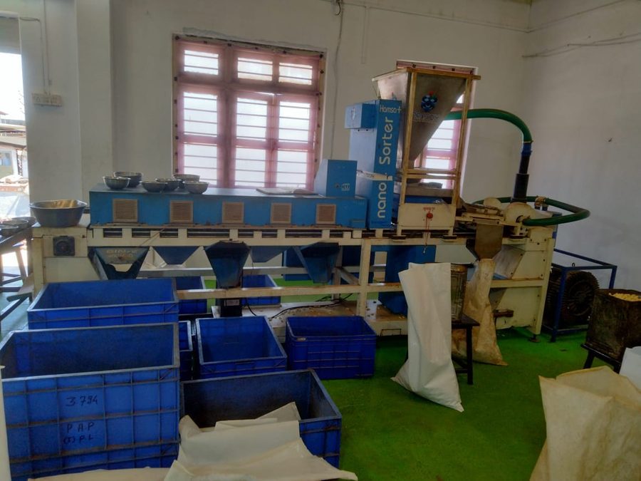 Automatic cashew colour sorter and grading line