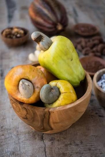 Raw cashew nut procurement from Konkan growers