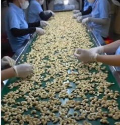 Cashew kernel quality inspection