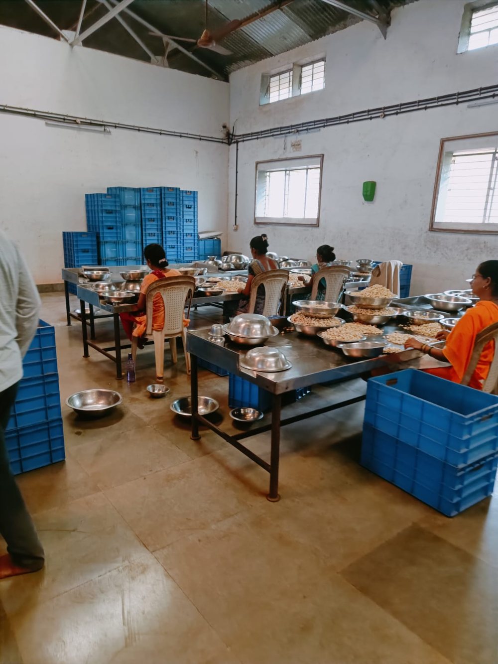 Trained staff hand-sorting cashew kernels at the Panchsheel Agro Industries unit