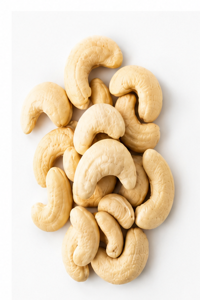 W180 Jumbo King whole cashew kernels