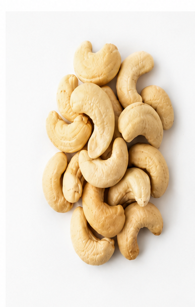 W210 jumbo whole cashew kernels