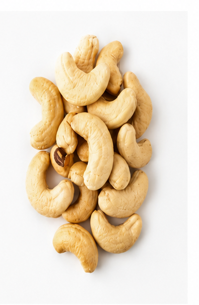 W240 large whole cashew kernels